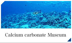 炭酸カルシウム博物館
